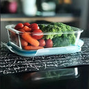 Marmita de Vidro Retangular com Tampa Hermética – Resistente ao Calor