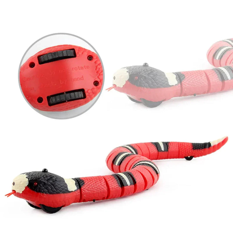 Brinquedo CrazySnake