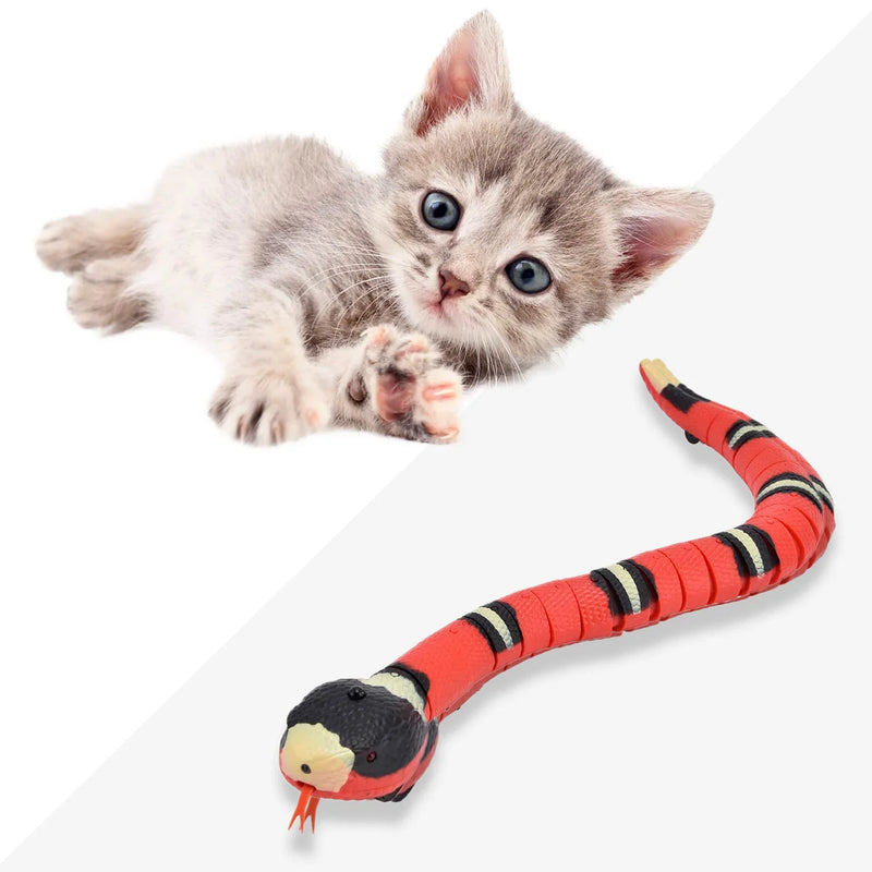 Brinquedo CrazySnake