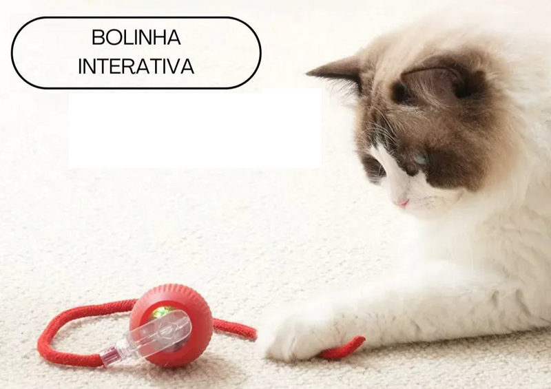 Bolinha Interativa Inteligente para Gatos